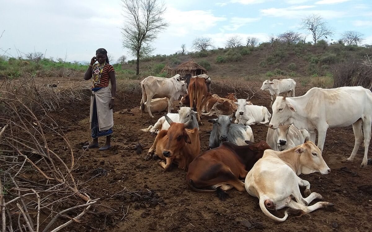 5 Fragen an Wase Gubena: Berater für Hirten in Äthiopien