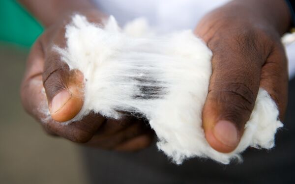(c) Cotton made in Africa