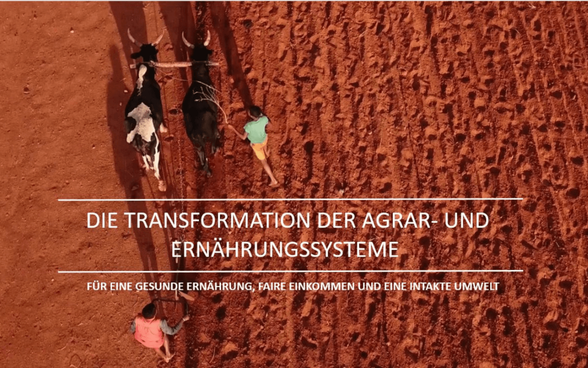 BMZ veröffentlicht Video zur Transformation der Agrar- und Ernährungssysteme