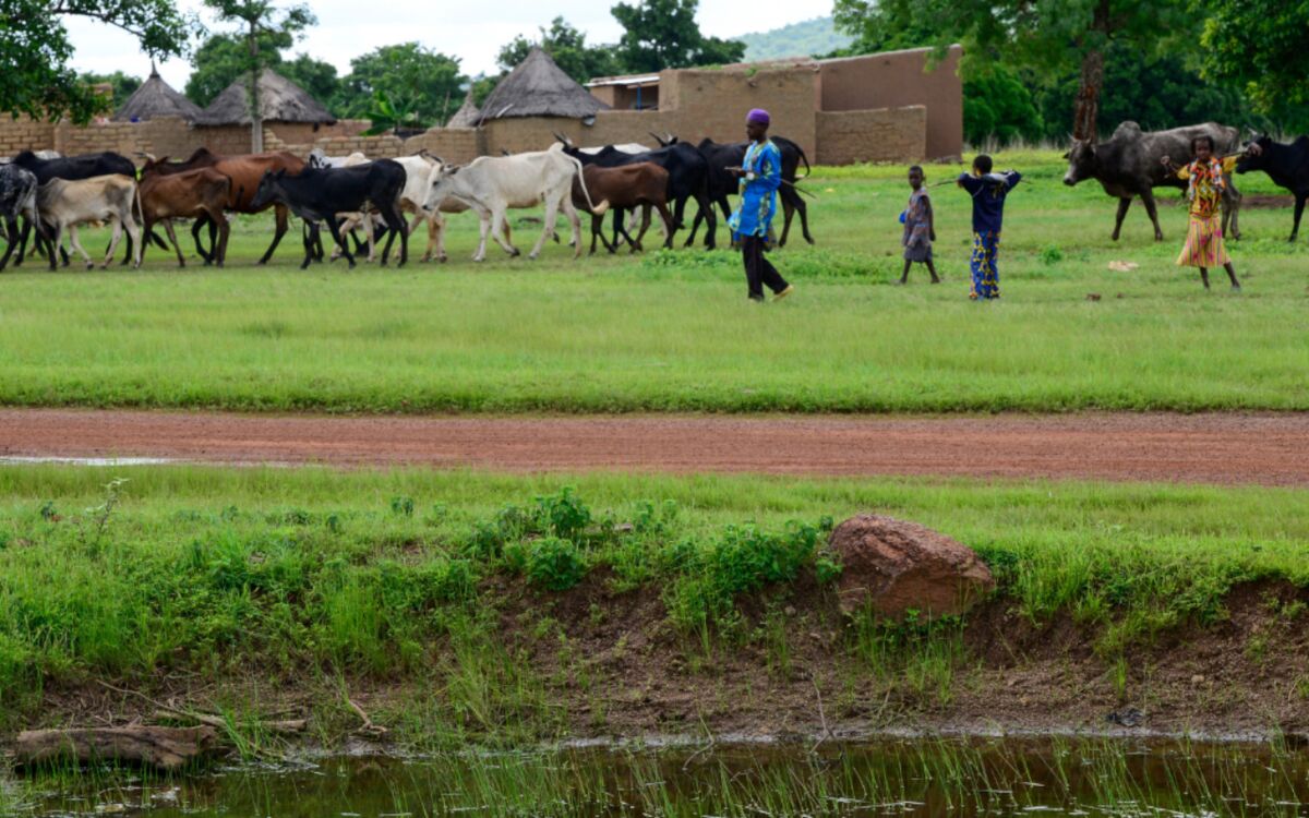 Biodiversity and agriculture – rivalry or a new friendship?