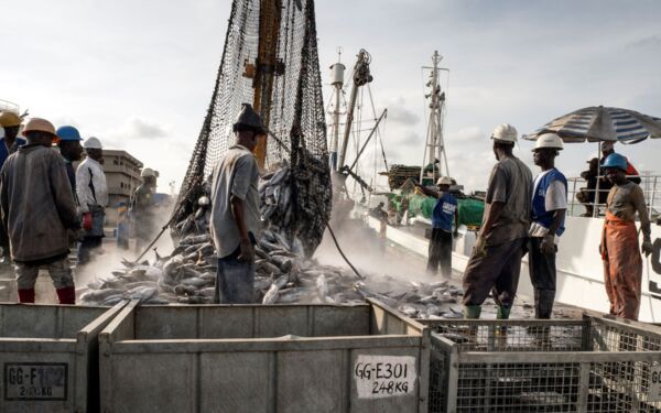 Im Kampf gegen illegale Fischerei