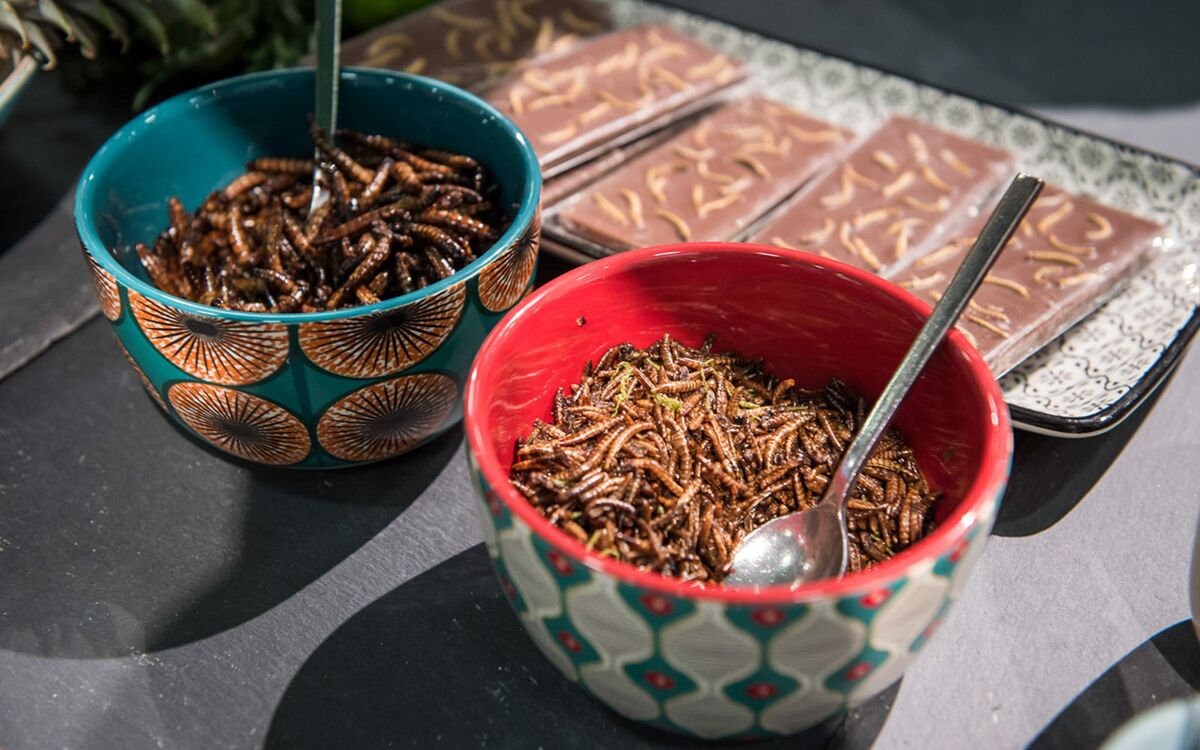 Insekten sind das neue Rind