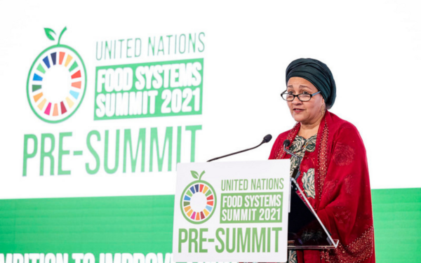 UNFSS Pre-Summit: Was hat er gebracht?