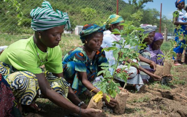 Erfolgsmodell Hausgarten: Nahrung und Frauen Empowerment