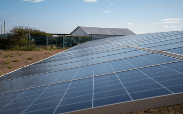 Das Potenzial der Agri-Photovoltaik ausschöpfen