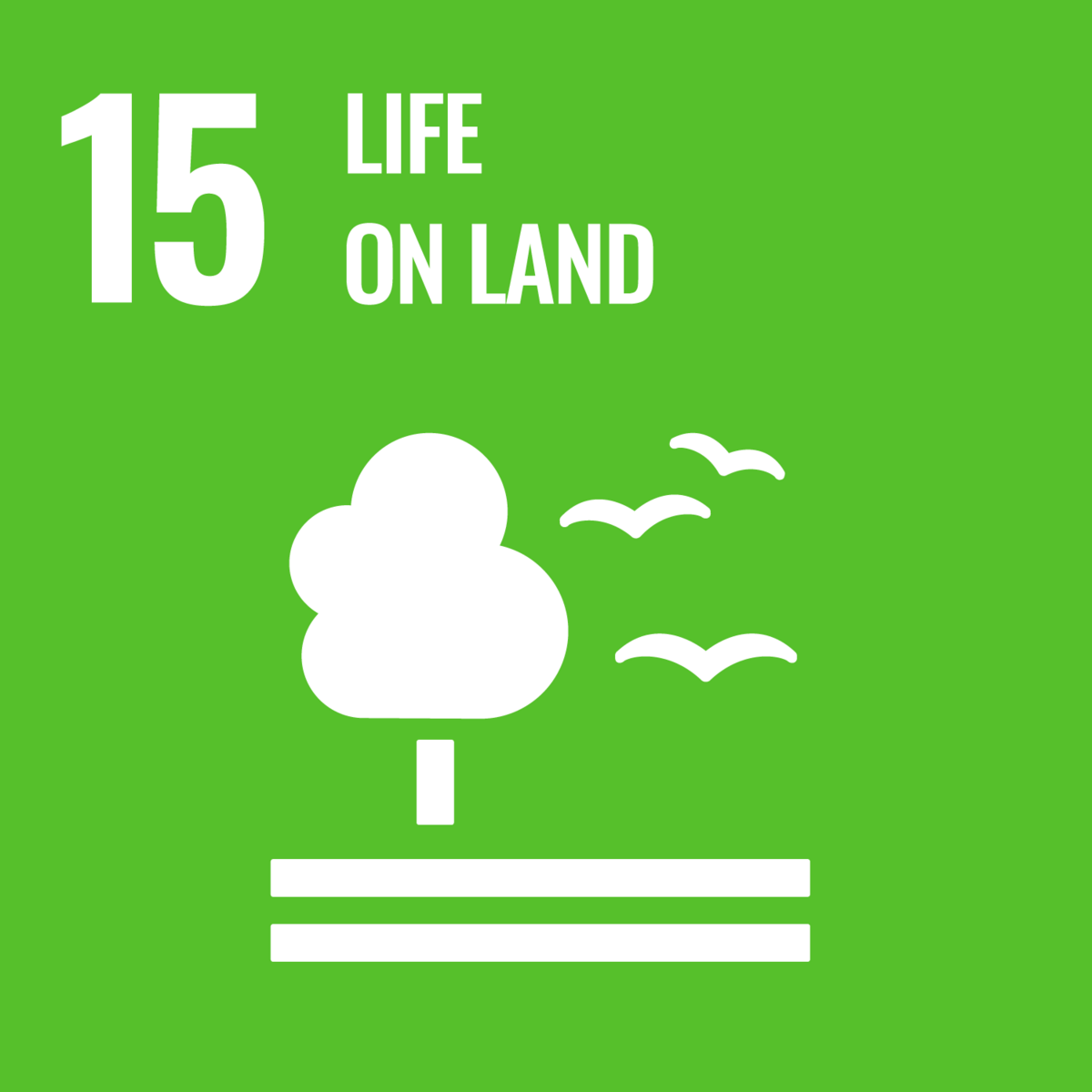 SDG 15 – Das Leben an Land aufzehren