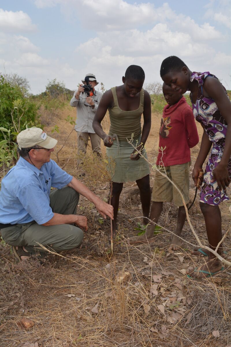 Rinaudo demonstrates in Ghana how to circumcise a bush. © World Vision