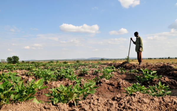 "Der Erhalt und die Rückgewinnung fruchtbarer Böden sind eine globale Aufgabe."