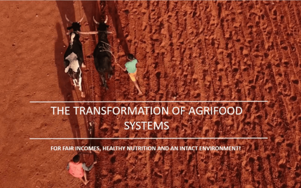 BMZ releases video on the transformation of agricultural and food systems