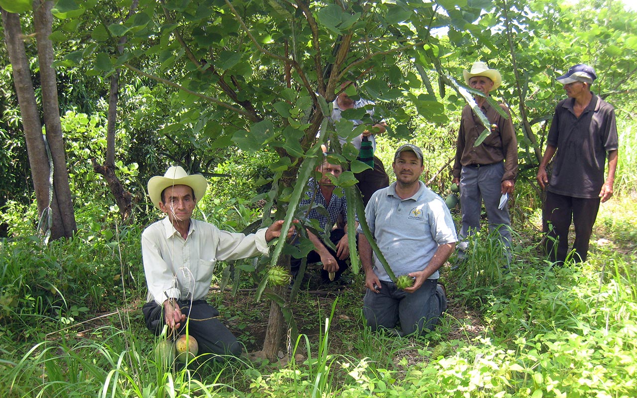 Proud to be a farmer: Many farmers in El Salvador lack self-respect. Photo: Caritas San Miguel